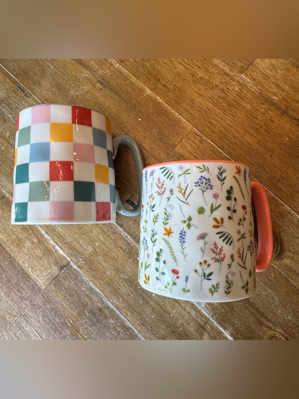 Strawberry Street Brand Pair of Colorful Checkered & Wildflower Mugs